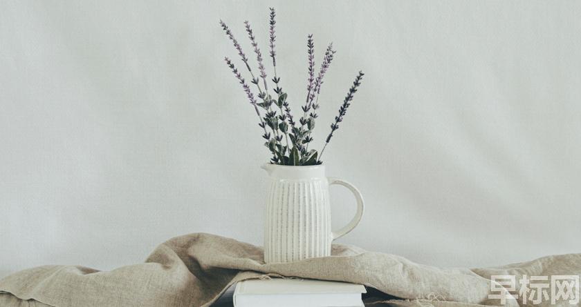 早标网,早标网论文降重,早标网官网,早标网论文降重系统,早标网论文查重检测系统