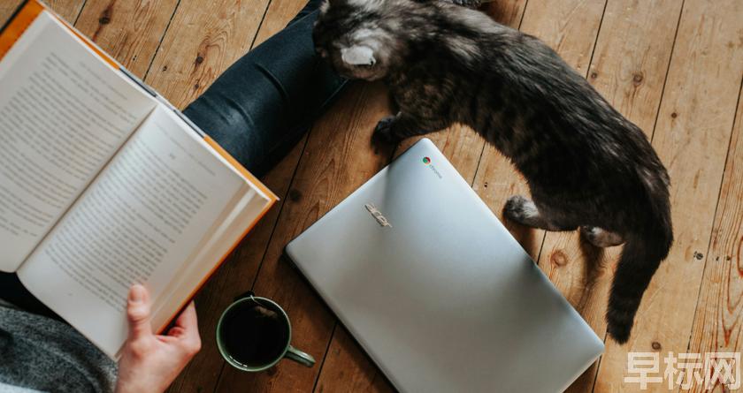 早标网,早标网论文降重,早标网官网,早标网论文降重系统,早标网论文查重检测系统