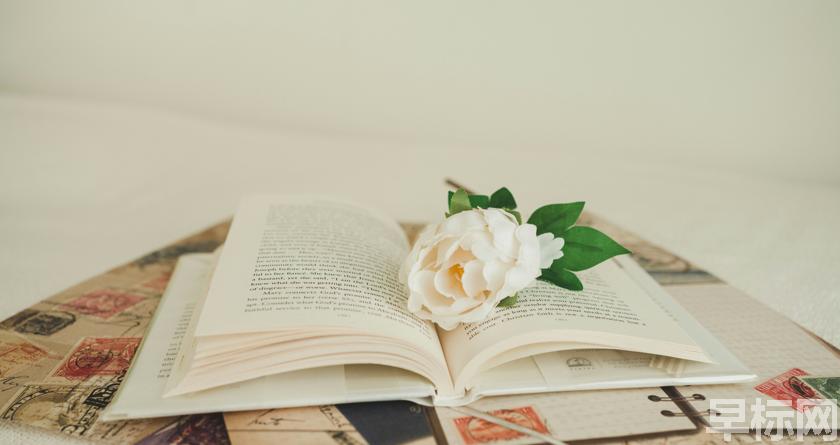 早标网,早标网论文降重,早标网官网,早标网论文降重系统,早标网论文查重检测系统