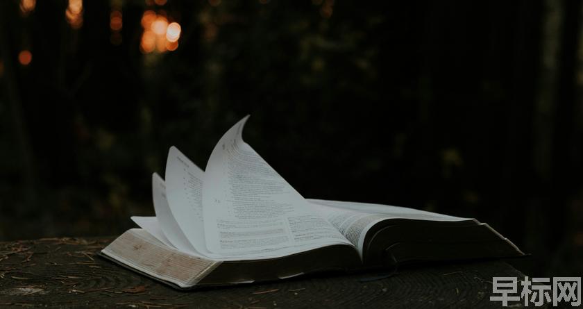 早标网,早标网论文降重,早标网官网,早标网论文降重系统,早标网论文查重检测系统