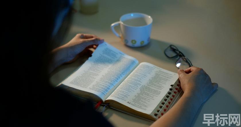 早标网,早标网论文降重,早标网官网,早标网论文降重系统,早标网论文查重检测系统