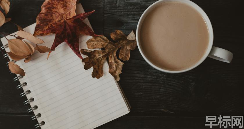 早标网,早标网论文降重,早标网官网,早标网论文降重系统,早标网论文查重检测系统