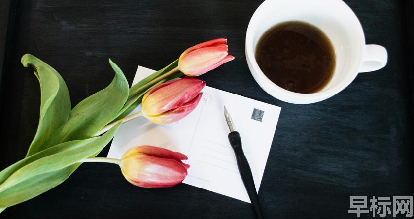 早标网,早标网论文降重,早标网官网,早标网论文降重系统,早标网论文查重检测系统