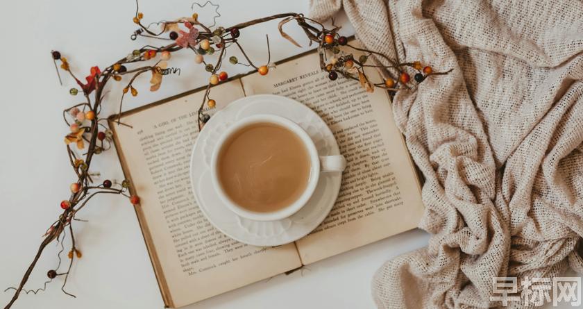 早标网,早标网论文降重,早标网官网,早标网论文降重系统,早标网论文查重检测系统