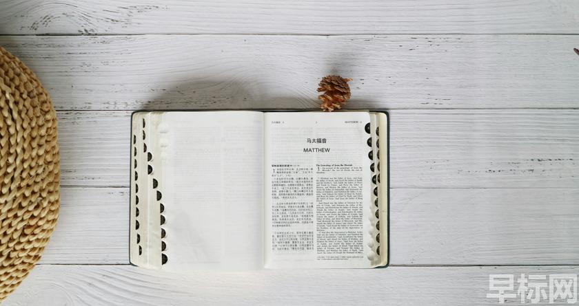 早标网,早标网论文降重,早标网官网,早标网论文降重系统,早标网论文查重检测系统